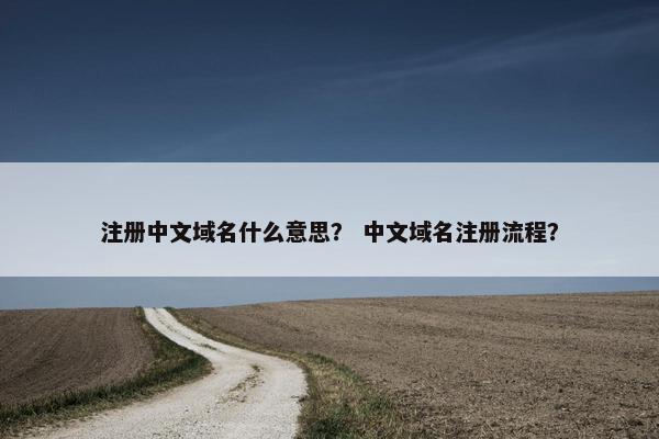 注册中文域名什么意思？ 中文域名注册流程？-第1张图片-冷动云