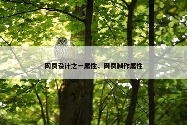 网页设计之一属性，网页制作属性-第1张图片-冷动云