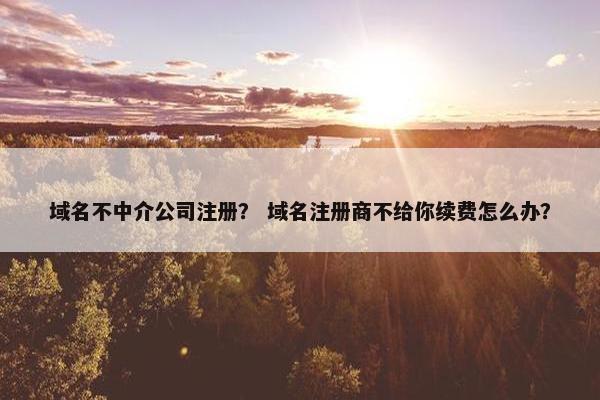 域名不中介公司注册？ 域名注册商不给你续费怎么办？-第1张图片-冷动云