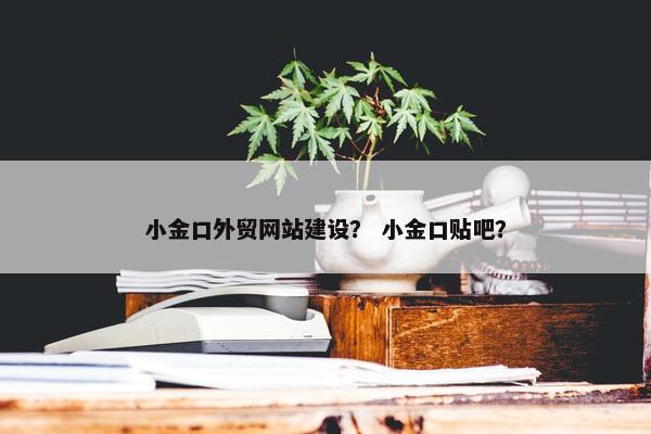 小金口外贸网站建设？ 小金口贴吧？-第1张图片-冷动云