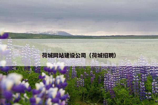 荷城网站建设公司（荷城招聘）-第1张图片-冷动云
