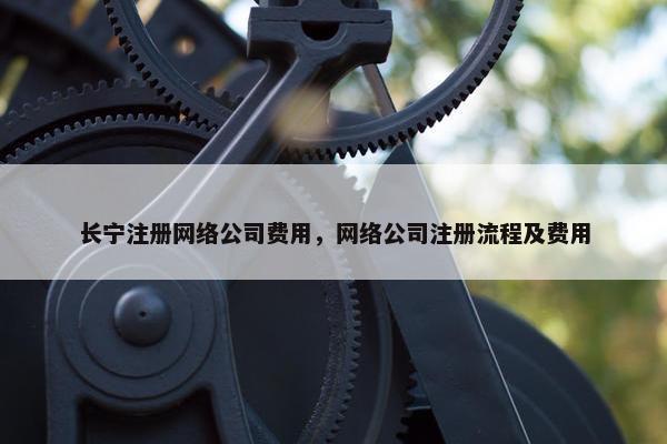 长宁注册网络公司费用，网络公司注册流程及费用-第1张图片-冷动云