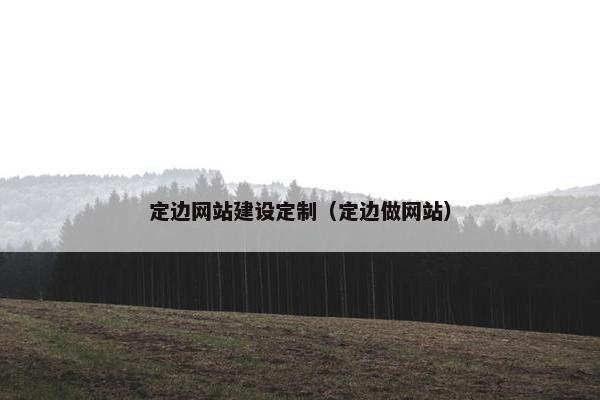 定边网站建设定制（定边做网站）-第1张图片-冷动云