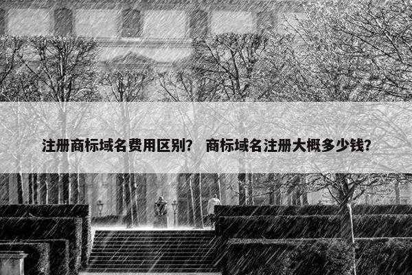 注册商标域名费用区别？ 商标域名注册大概多少钱？-第1张图片-冷动云