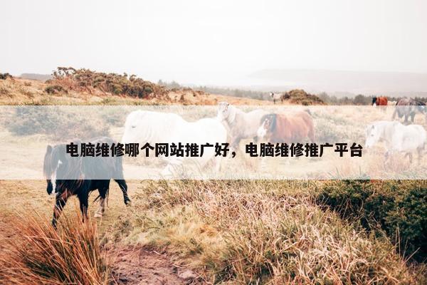 电脑维修哪个网站推广好，电脑维修推广平台-第1张图片-冷动云