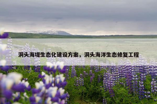洞头海堤生态化建设方案，洞头海洋生态修复工程-第1张图片-冷动云