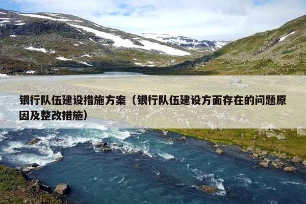 银行队伍建设措施方案（银行队伍建设方面存在的问题原因及整改措施）-第1张图片-冷动云