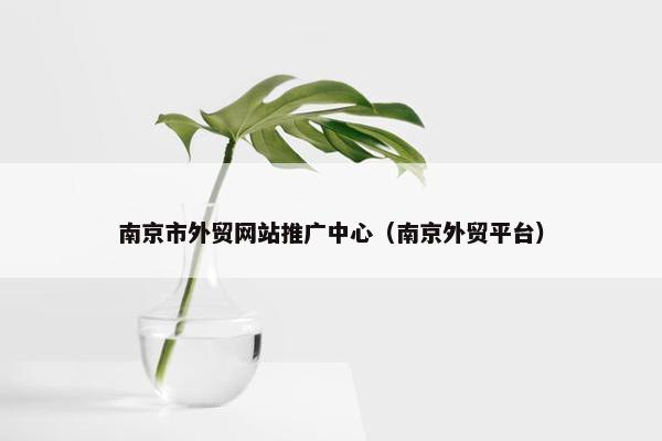 南京市外贸网站推广中心（南京外贸平台）-第1张图片-冷动云