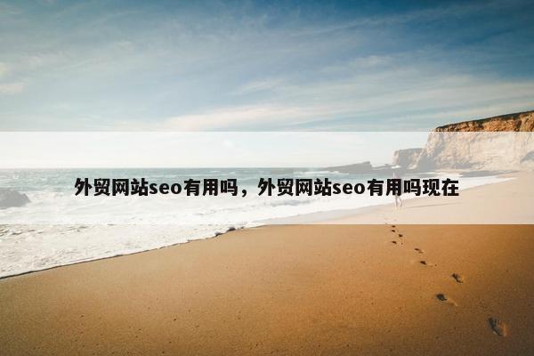 外贸网站seo有用吗，外贸网站seo有用吗现在-第1张图片-冷动云