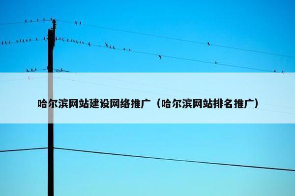 哈尔滨网站建设网络推广（哈尔滨网站排名推广）-第1张图片-冷动云