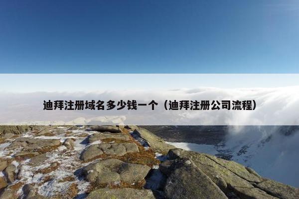 迪拜注册域名多少钱一个（迪拜注册公司流程）-第1张图片-冷动云