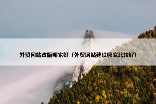 外贸网站改版哪家好（外贸网站建设哪家比较好）-第1张图片-冷动云
