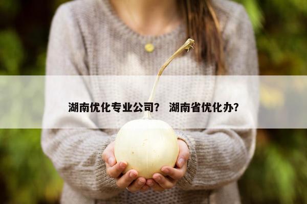 湖南优化专业公司？ 湖南省优化办？-第1张图片-冷动云