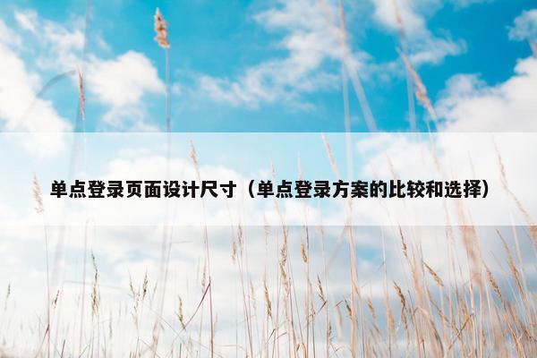 单点登录页面设计尺寸（单点登录方案的比较和选择）-第1张图片-冷动云