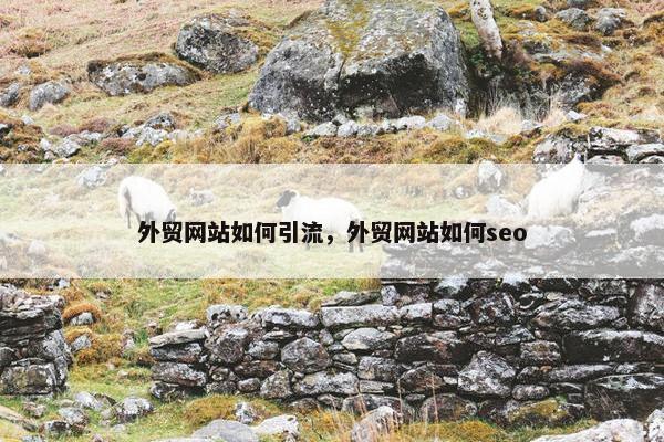 外贸网站如何引流，外贸网站如何seo-第1张图片-冷动云