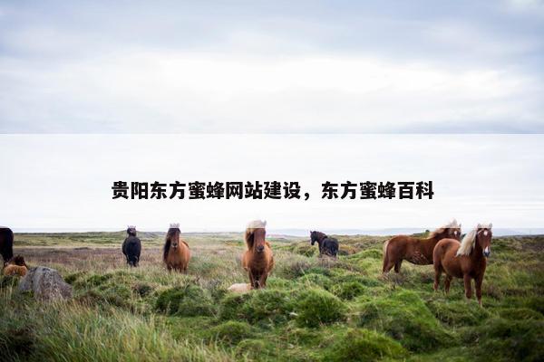 贵阳东方蜜蜂网站建设，东方蜜蜂百科-第1张图片-冷动云