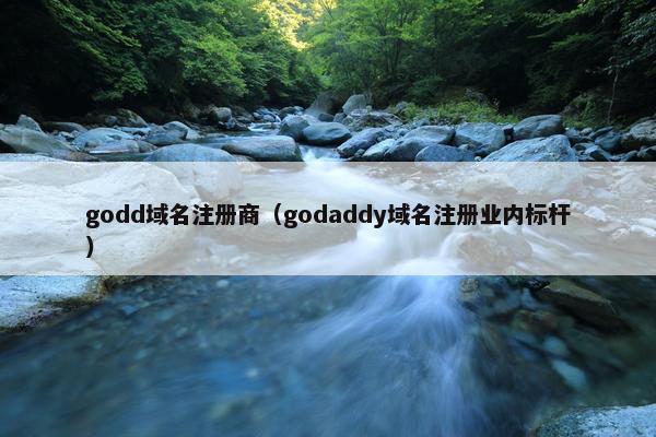 godd域名注册商（godaddy域名注册业内标杆）-第1张图片-冷动云