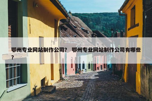 鄂州专业网站制作公司？ 鄂州专业网站制作公司有哪些？-第1张图片-冷动云