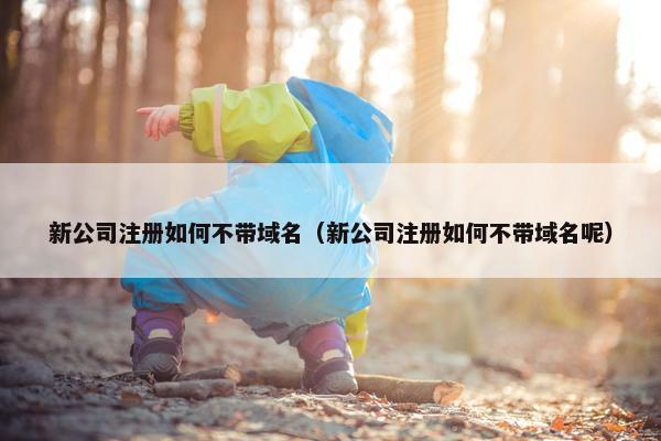 新公司注册如何不带域名（新公司注册如何不带域名呢）-第1张图片-冷动云