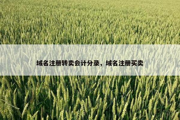 域名注册转卖会计分录，域名注册买卖-第1张图片-冷动云