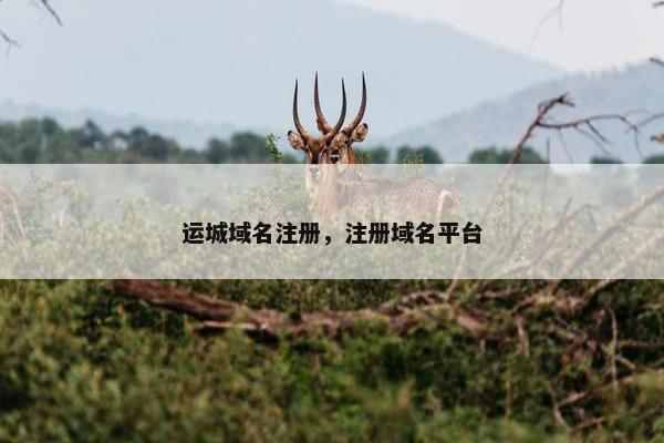 运城域名注册，注册域名平台-第1张图片-冷动云