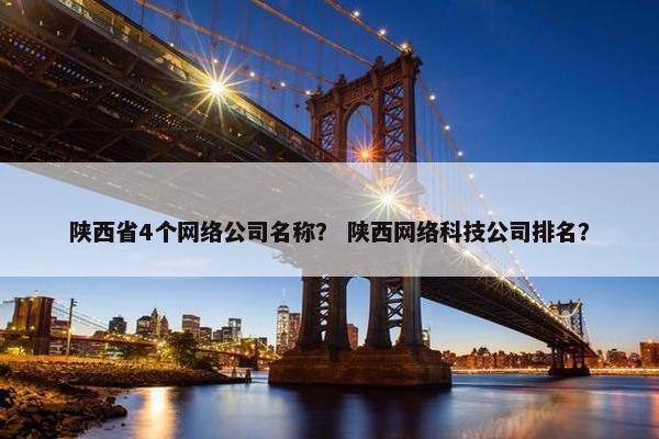 陕西省4个网络公司名称？ 陕西网络科技公司排名？-第1张图片-冷动云