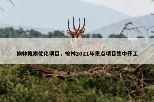 榆林搜索优化项目，榆林2021年重点项目集中开工-第1张图片-冷动云
