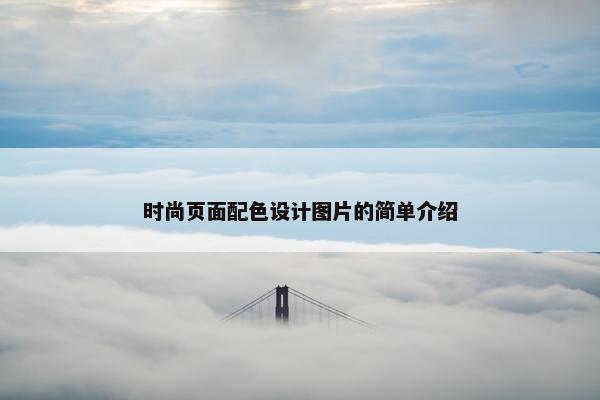 时尚页面配色设计图片的简单介绍-第1张图片-冷动云