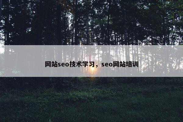 网站seo技术学习，seo网站培训-第1张图片-冷动云