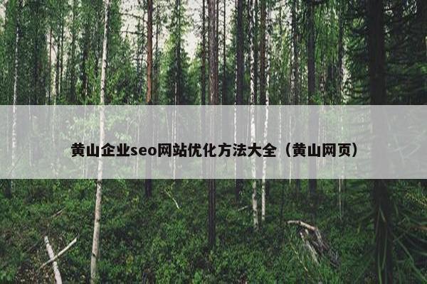黄山企业seo网站优化方法大全（黄山网页）-第1张图片-冷动云