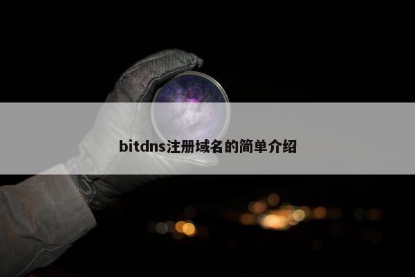 bitdns注册域名的简单介绍-第1张图片-冷动云