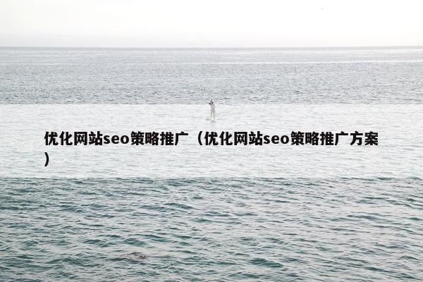 优化网站seo策略推广（优化网站seo策略推广方案）-第1张图片-冷动云