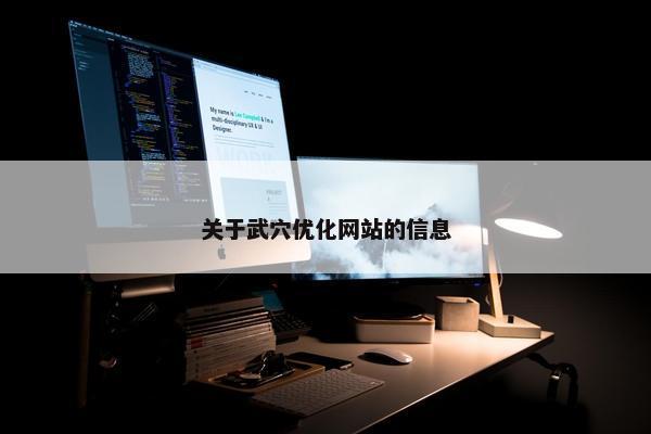 关于武穴优化网站的信息-第1张图片-冷动云