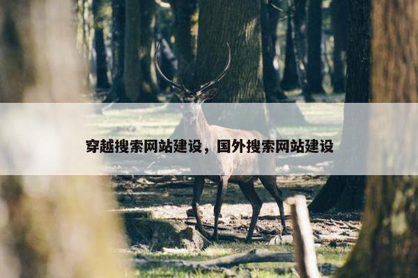 穿越搜索网站建设，国外搜索网站建设-第1张图片-冷动云