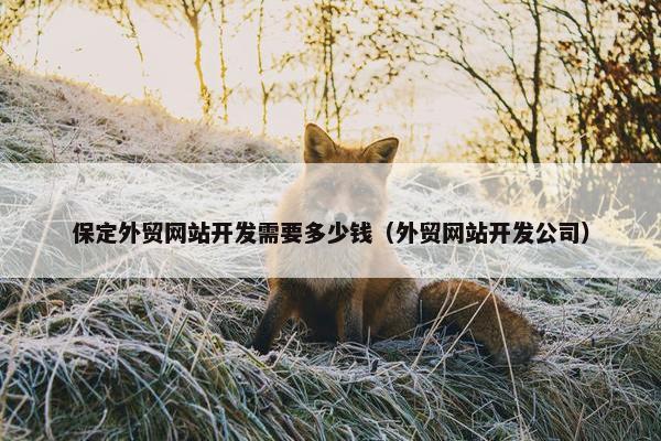 保定外贸网站开发需要多少钱（外贸网站开发公司）-第1张图片-冷动云