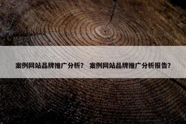 案例网站品牌推广分析？ 案例网站品牌推广分析报告？-第1张图片-冷动云