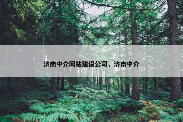 济南中介网站建设公司，济南中介-第1张图片-冷动云
