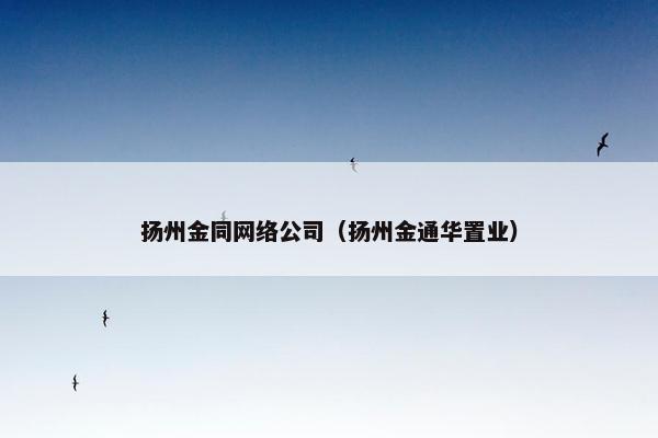 扬州金同网络公司（扬州金通华置业）-第1张图片-冷动云