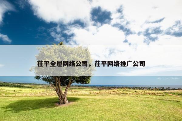 茌平全屋网络公司，茌平网络推广公司-第1张图片-冷动云