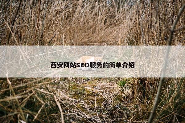 西安网站SEO服务的简单介绍-第1张图片-冷动云