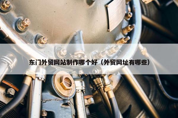 东门外贸网站制作哪个好（外贸网址有哪些）-第1张图片-冷动云
