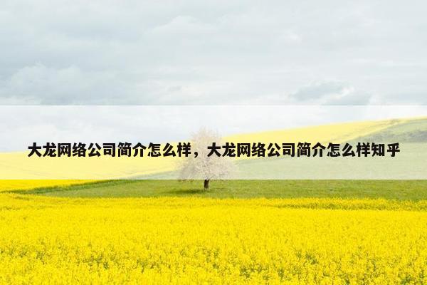 大龙网络公司简介怎么样，大龙网络公司简介怎么样知乎-第1张图片-冷动云
