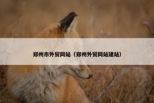 郑州市外贸网站（郑州外贸网站建站）-第1张图片-冷动云