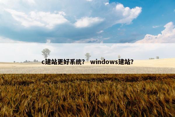 c建站更好系统？ windows建站？-第1张图片-冷动云