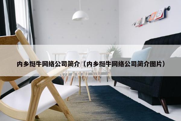 内乡挺牛网络公司简介（内乡挺牛网络公司简介图片）-第1张图片-冷动云