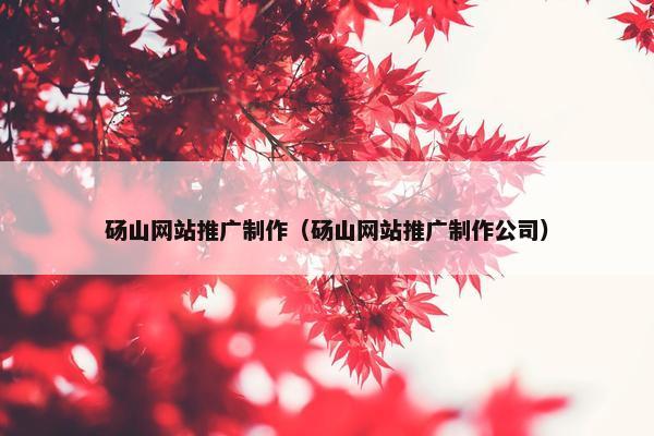 砀山网站推广制作（砀山网站推广制作公司）-第1张图片-冷动云