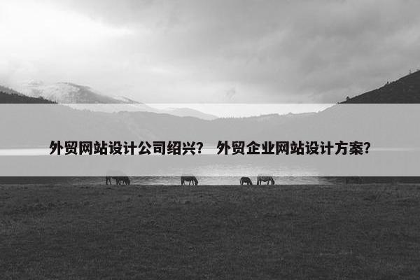 外贸网站设计公司绍兴？ 外贸企业网站设计方案？-第1张图片-冷动云