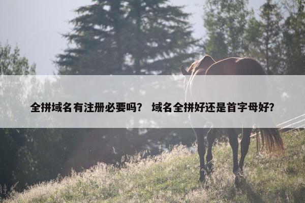 全拼域名有注册必要吗？ 域名全拼好还是首字母好？-第1张图片-冷动云