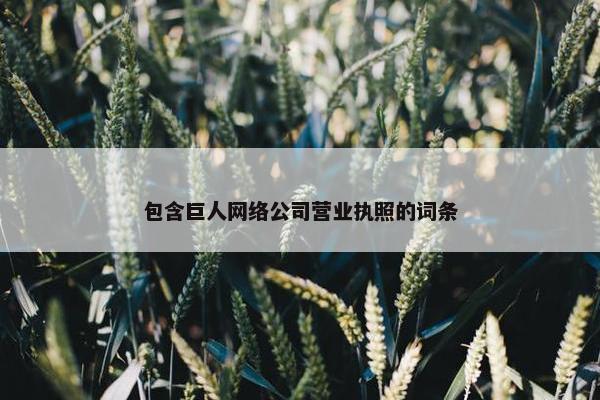 包含巨人网络公司营业执照的词条-第1张图片-冷动云