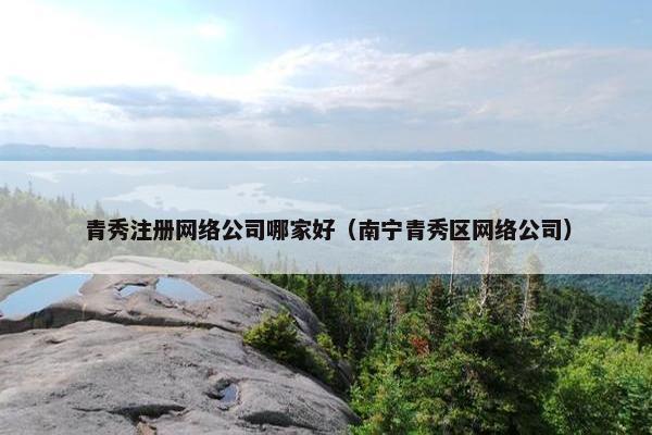 青秀注册网络公司哪家好（南宁青秀区网络公司）-第1张图片-冷动云